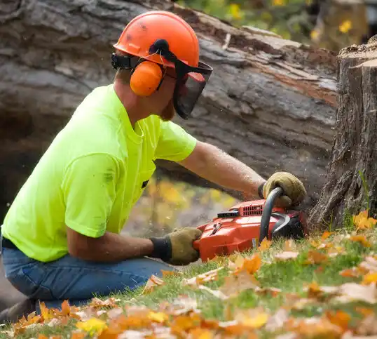 tree services Poplar Bluff